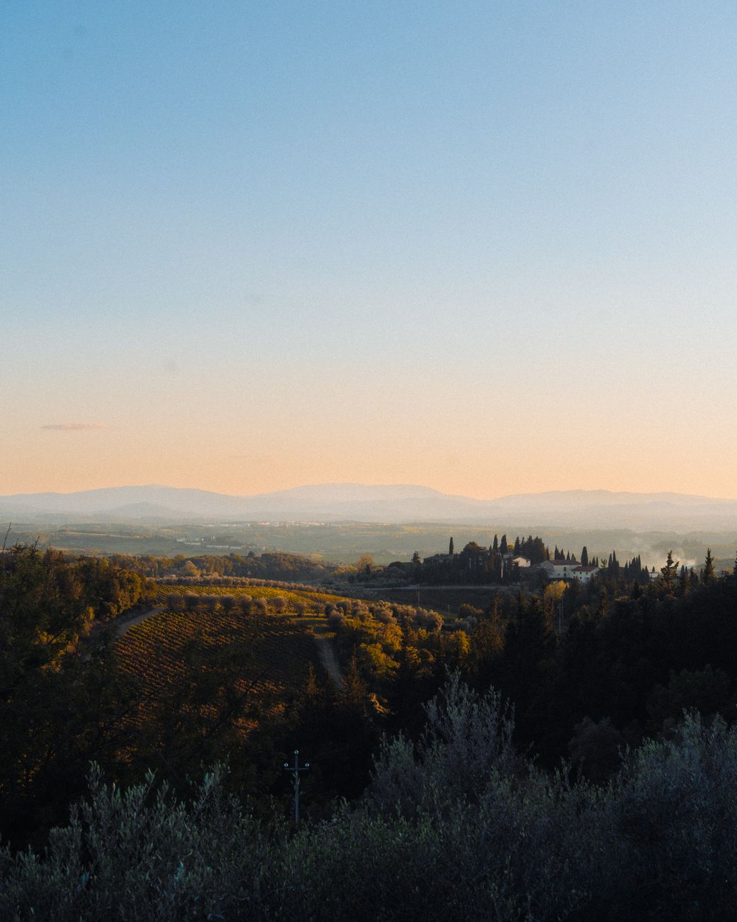 Tuscan vineyard landscape at golden hour sunset