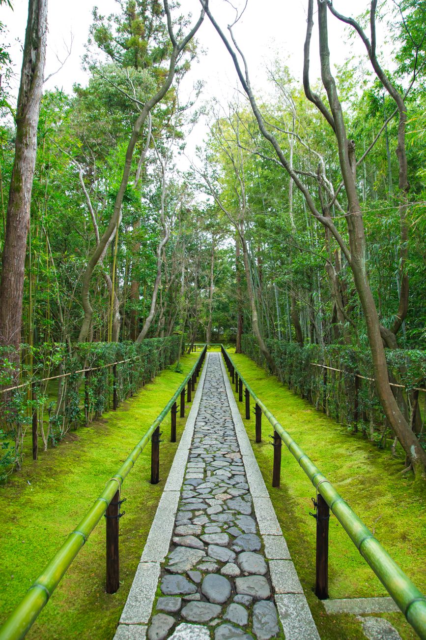 Traditional Kyoto cedar forest ryokan walkway